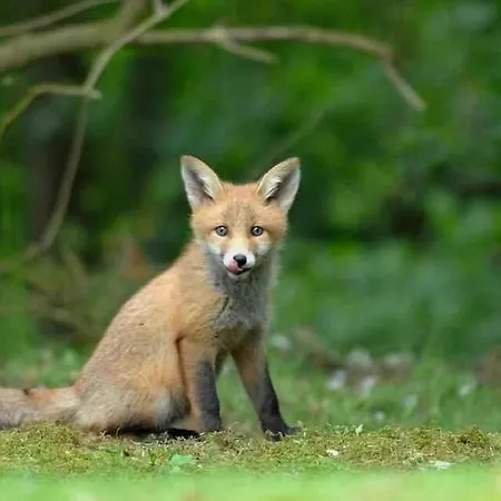 펜션 Summer House In An Idyllic Coastal Area