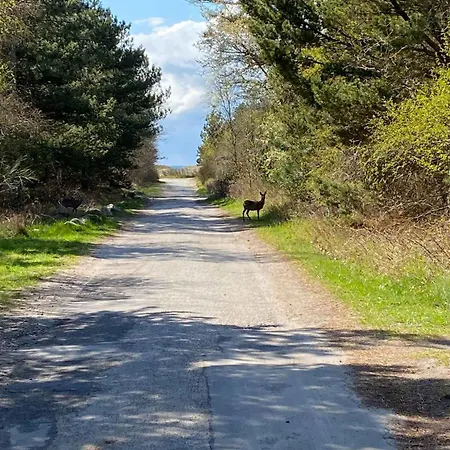 Summer House In An Idyllic Coastal Area Højby