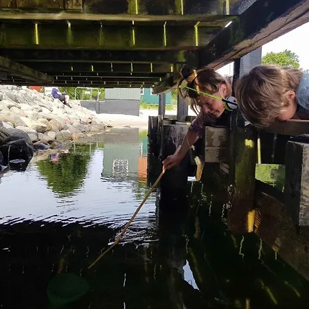 Summer House In An Idyllic Coastal Area 펜션