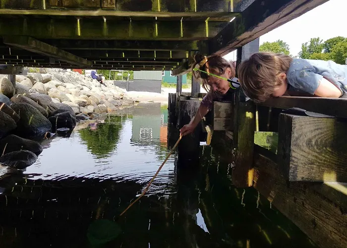 Summer House In An Idyllic Coastal Area Semesterbostad
